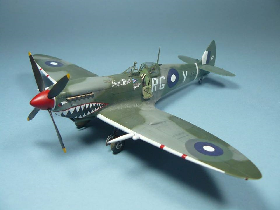 spitfire mk8-94.png